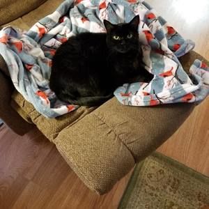 Meet your Posher, Roberta